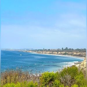 Meet your Posher, Molly